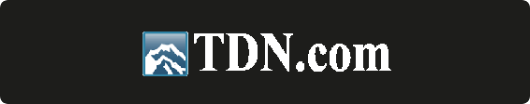 The Daily News Logo