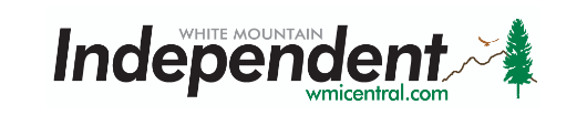 WMIcentral.com Logo